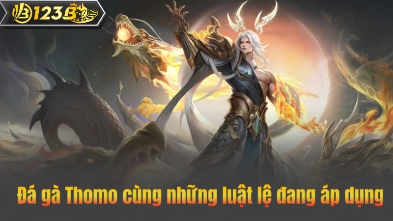 Đá gà Thomo – Trường đấu đá gà uy tín số 1 Châu Á 3 Đá gà Thomo cùng những luật lệ đang áp dụng