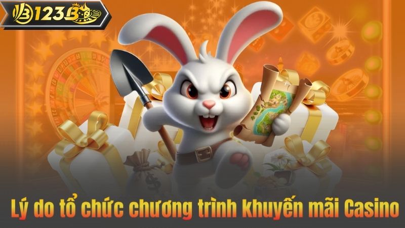 Lý do tổ chức chương trình khuyến mãi Casino
