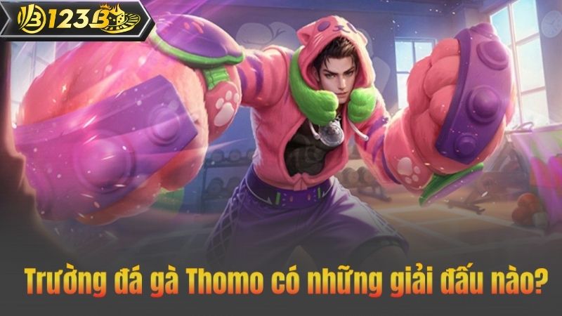 Đá gà Thomo – Trường đấu đá gà uy tín số 1 Châu Á 4 Trường đá gà Thomo có những giải đấu nào?