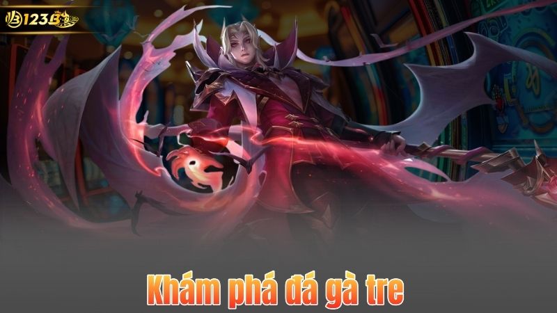 Khám phá đá gà tre